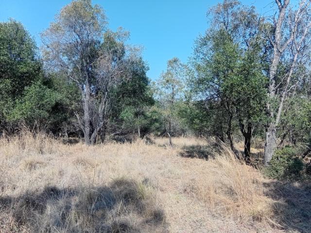 Land for sale in Nylstroom, Limpopo