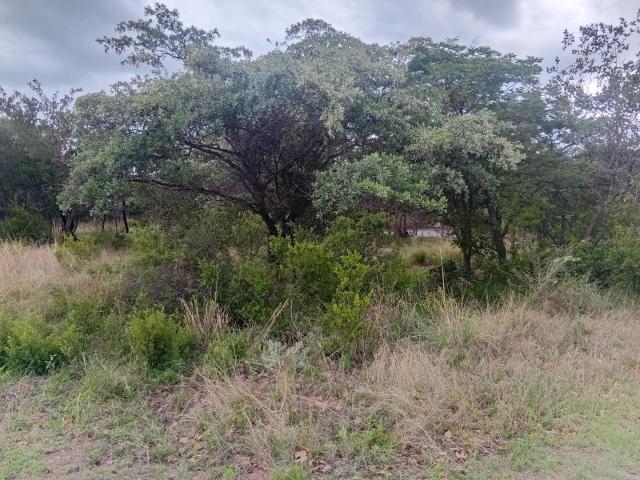 Land for sale in Nylstroom, Limpopo