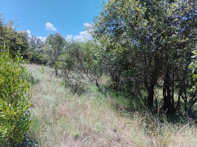 Land for sale in Nylstroom, Limpopo
