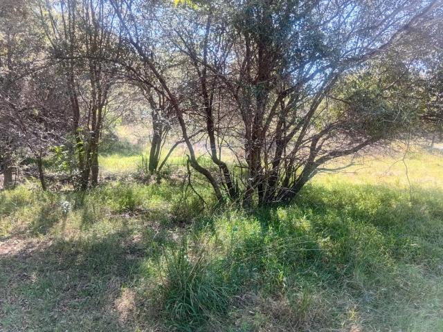 Land for sale in Nylstroom, Limpopo