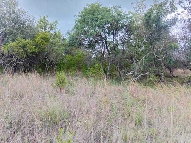Land for sale in Nylstroom, Limpopo