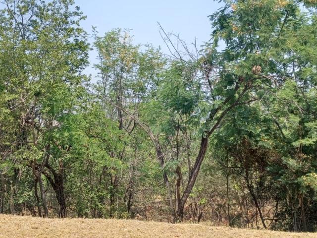 Land for sale in Hartbeespoort Dam Nature Reserve, North West
