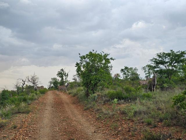 Land for sale in Ehlanzeni, Mpumalanga