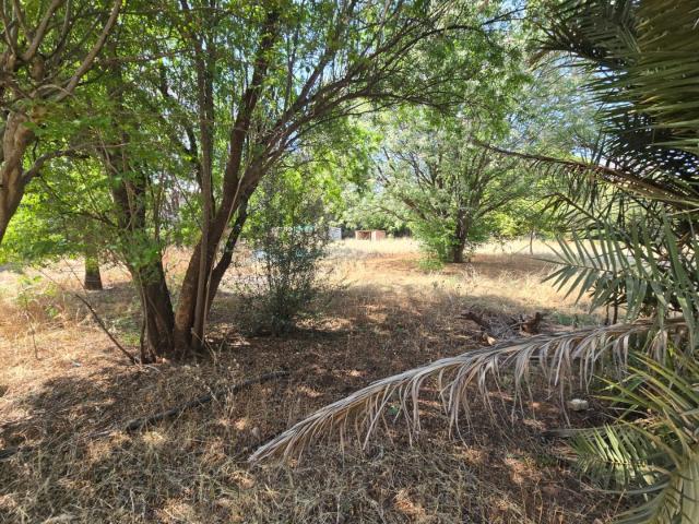 Land for sale in Kgalagadi, Northern Cape