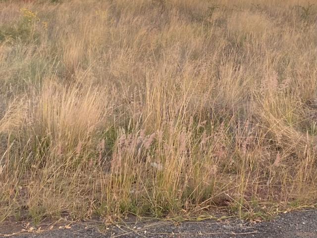 Land for sale in Kgalagadi, Northern Cape
