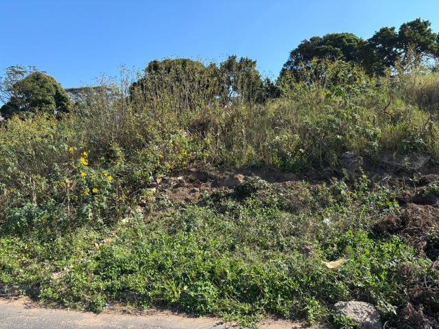 Land for sale in Kwazulu-natal