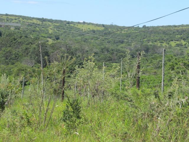 Land for sale in Amathole District Municipality, Eastern Cape