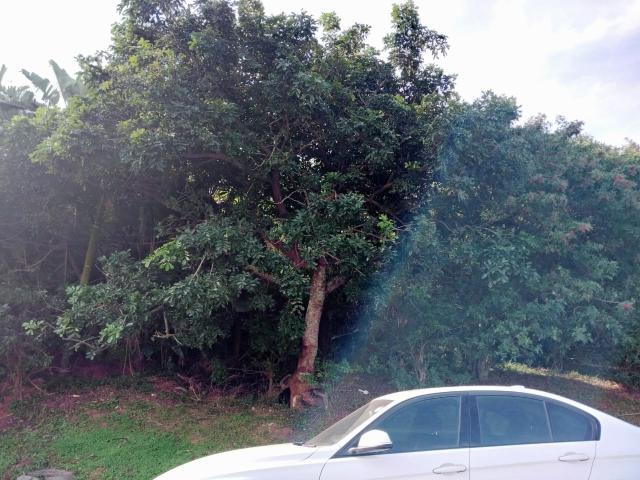 Land for sale in La Mercy, Kwazulu-natal