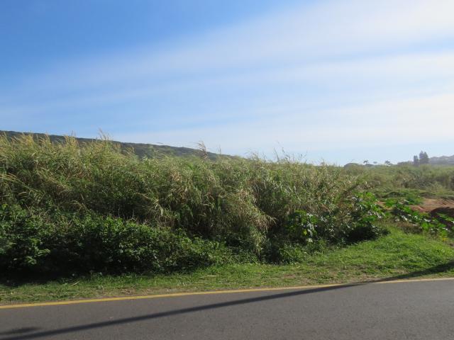 Land for sale in La Mercy, Kwazulu-natal