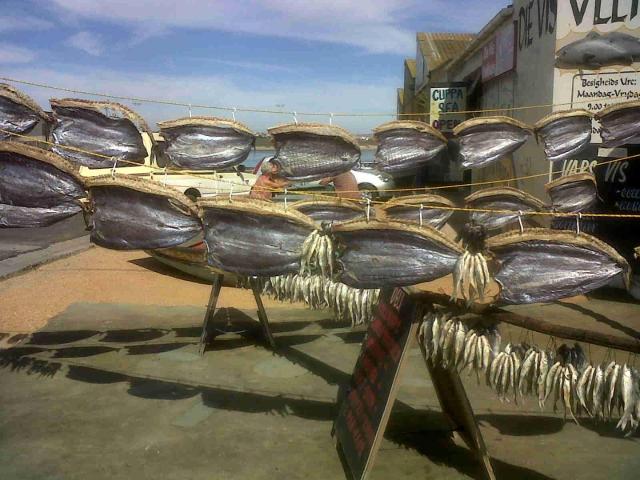 Land for sale in West Coast, Velddrift