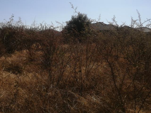 Land for sale in Limpopo