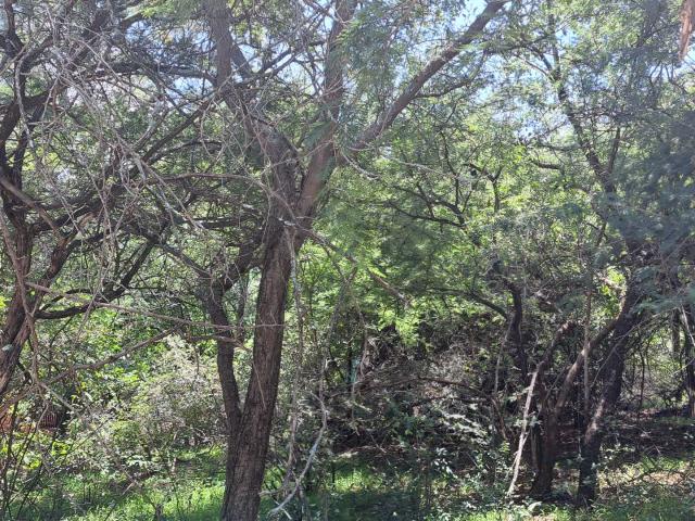 Land for sale in Limpopo