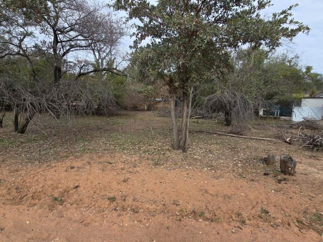 Land for sale in Limpopo