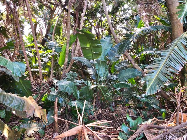 Land for sale in Ugu District Municipality, Kwazulu-natal