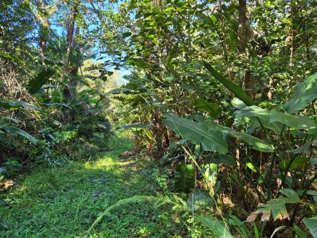 Land for sale in Ugu District Municipality, Kwazulu-natal