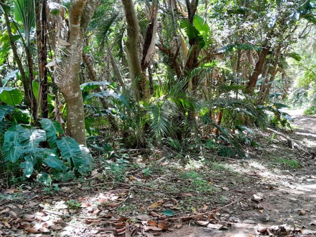 Land for sale in Ugu District Municipality, Kwazulu-natal