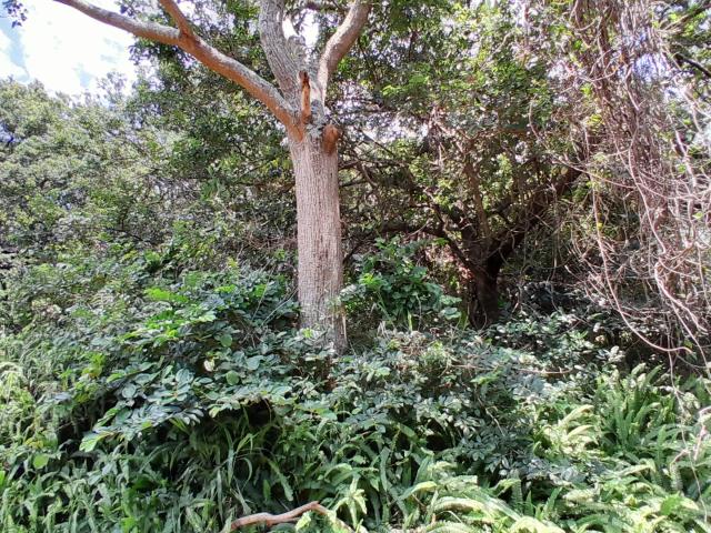Land for sale in Ugu District Municipality, Kwazulu-natal