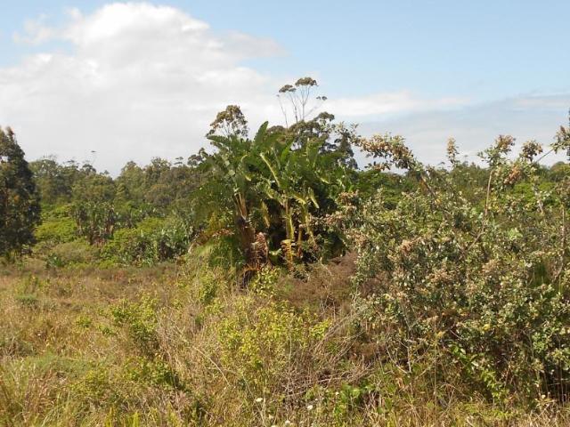 Land for sale in Ugu District Municipality, Kwazulu-natal