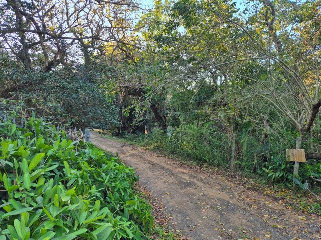 Land for sale in Ugu District Municipality, Kwazulu-natal