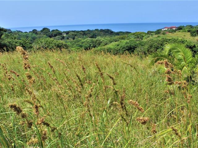 Land for sale in Ugu District Municipality, Kwazulu-natal