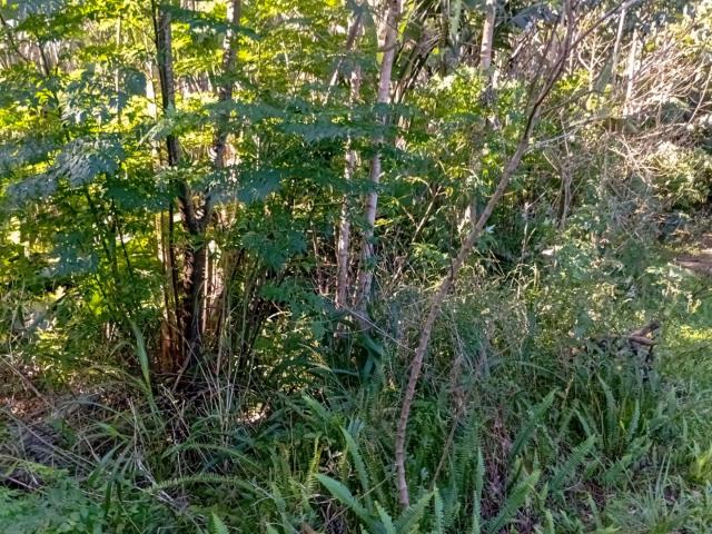 Land for sale in Ugu District Municipality, Kwazulu-natal