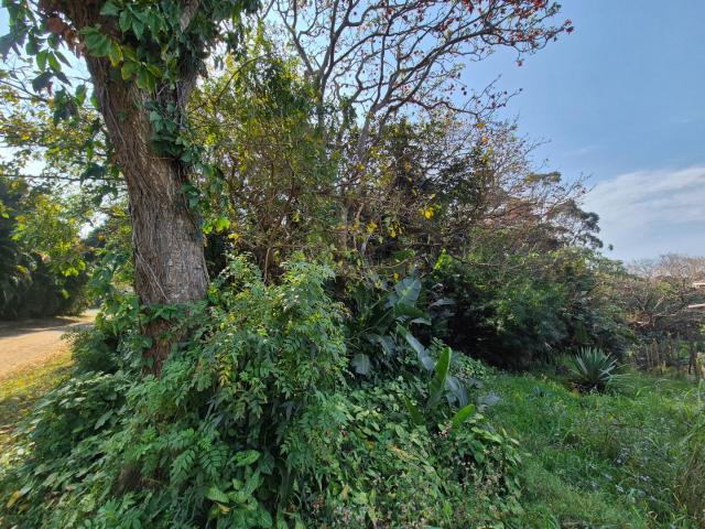 Land for sale in Ugu District Municipality, Kwazulu-natal