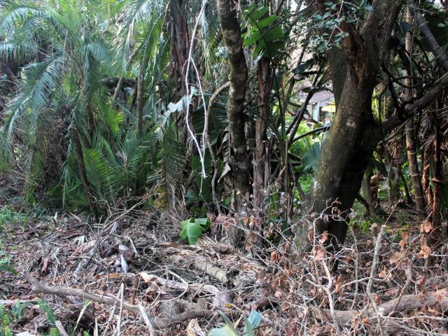 Land for sale in Ivy Beach, Hibiscus Coast Local Municipality