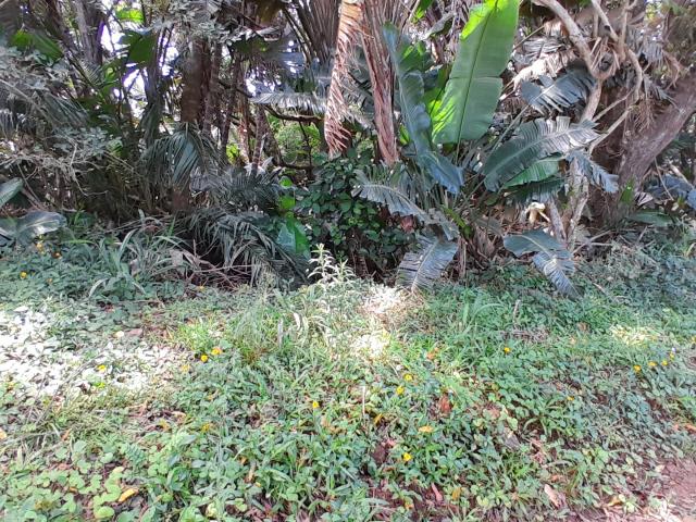 Land for sale in Ugu District Municipality, Kwazulu-natal
