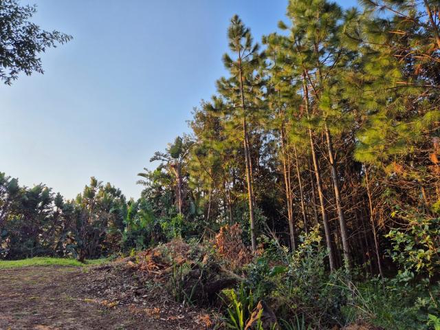 Land for sale in Ugu District Municipality, Kwazulu-natal