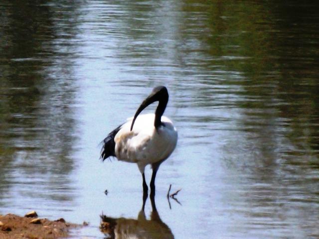 Land for sale in Hartbeespoort Dam Nature Reserve, North West