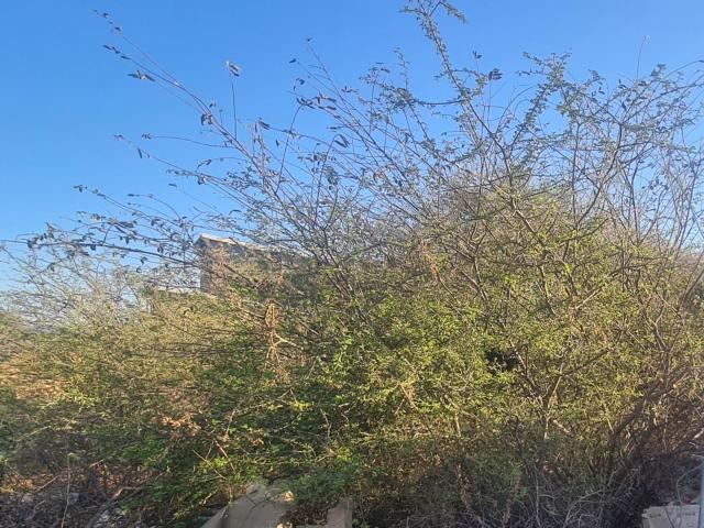 Land for sale in Limpopo