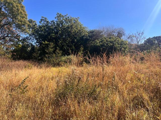 Land for sale in Vhembe, Limpopo