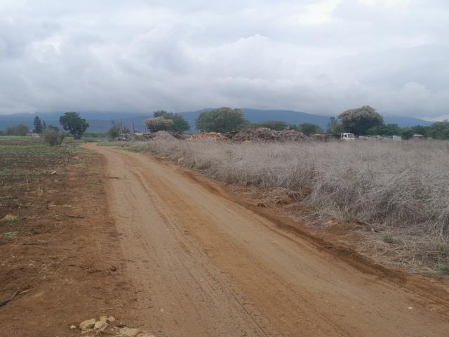 Land for sale in Vhembe, Limpopo