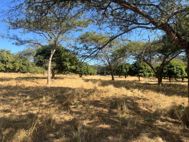 Land for sale in Mopani, Limpopo