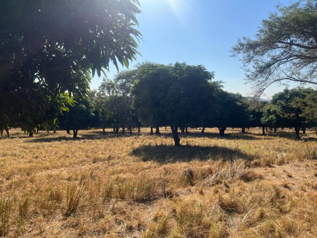 Land for sale in Mopani, Limpopo