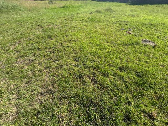 Land for sale in Ehlanzeni, Mpumalanga