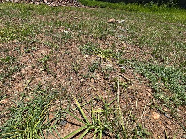 Land for sale in Ehlanzeni, Mpumalanga