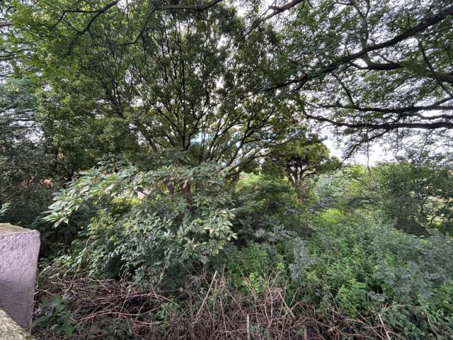 Land for sale in Ehlanzeni, Mpumalanga