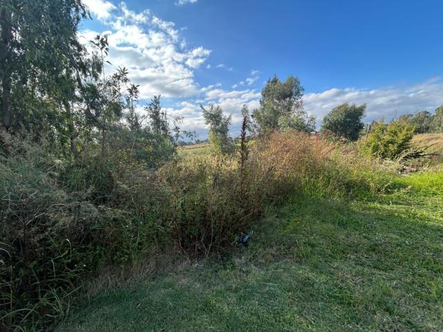Land for sale in Ehlanzeni, Mpumalanga