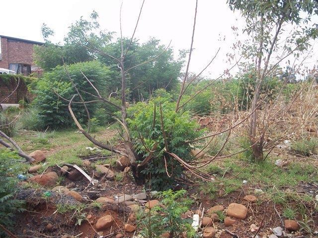 Land for sale in Ehlanzeni, Mpumalanga