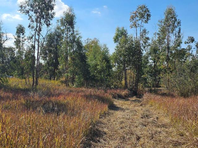 Land for sale in Kagiso, Gauteng