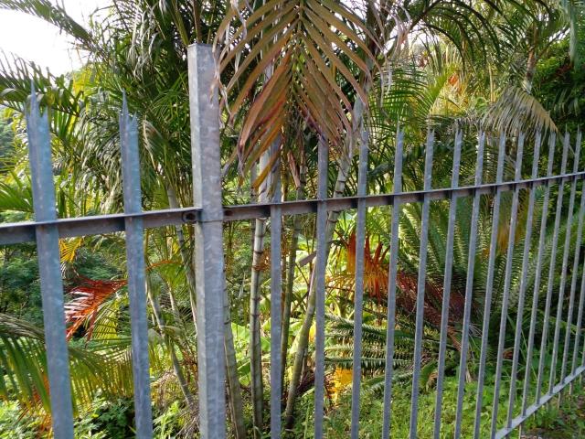 Land for sale in Queensburgh