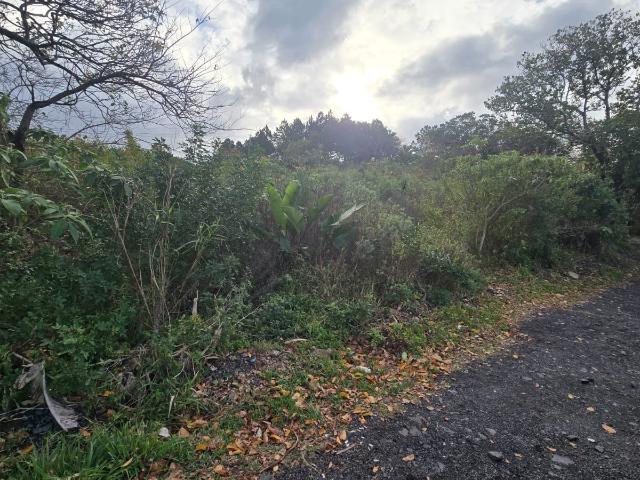 Land for sale in Ugu District Municipality, Kwazulu-natal