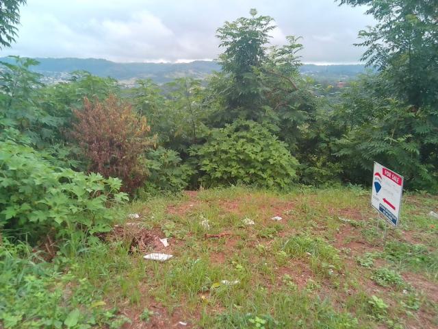 Land for sale in Pinetown