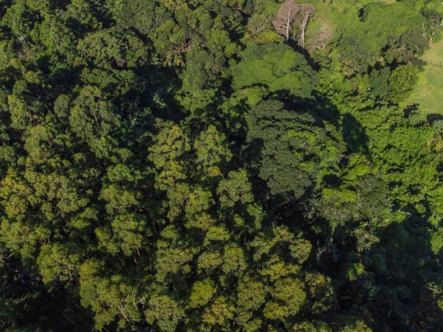 Land for sale in Ugu District Municipality, Kwazulu-natal