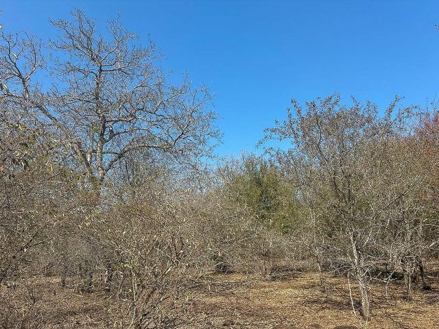 Land for sale in Ehlanzeni, Mpumalanga