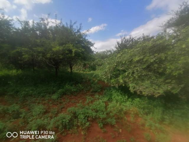 Land for sale in Ehlanzeni, Mpumalanga