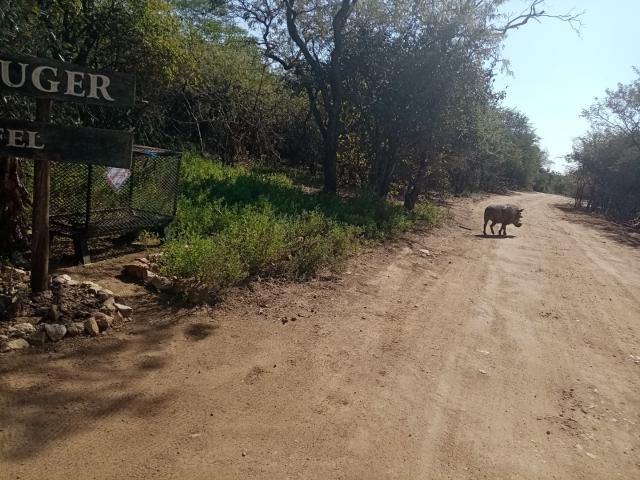 Land for sale in Ehlanzeni, Mpumalanga