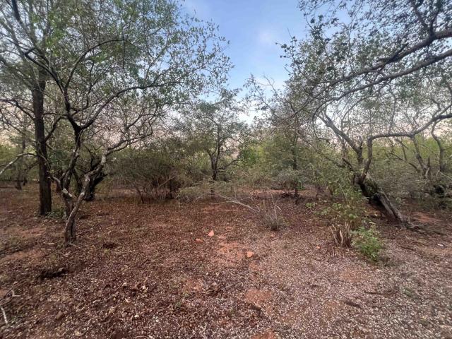 Land for sale in Ehlanzeni, Mpumalanga