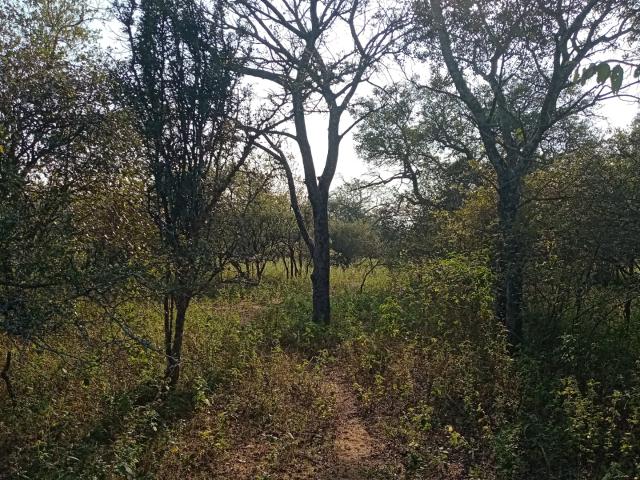 Land for sale in Ehlanzeni, Mpumalanga